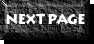 Next Page