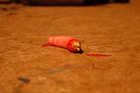 Remains from
"finger painting" project