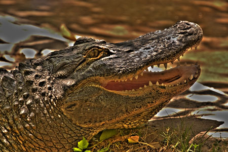 CRW_0034